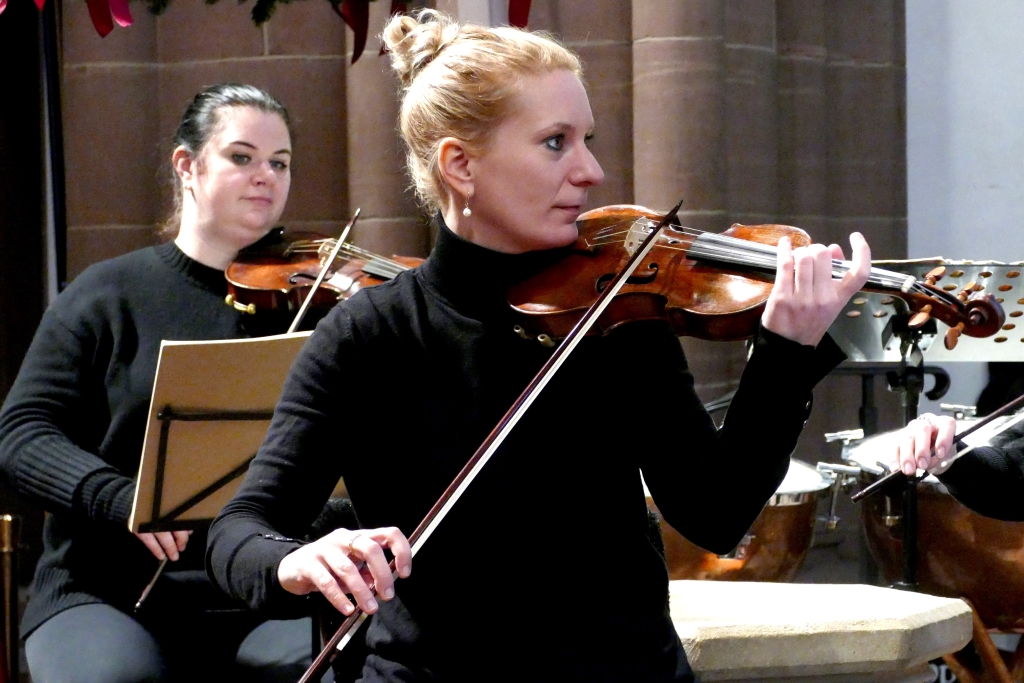 Professionelle Instrumentalisten des Telemann-Ensemble Frankfurt